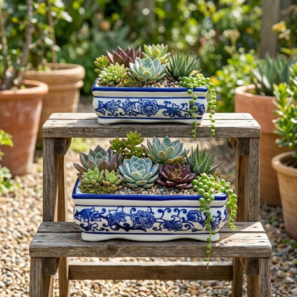 Set of 2 Blue & White Ceramic Bonsai Pots, 7.4" & 4.9" Rectangular Bonsai Planters Pots with Drainage for Outdoor Decor, Small Shallow Bonzie Tree Pot for Succulents, Cacti, Orchids, Herbs Plant Pot