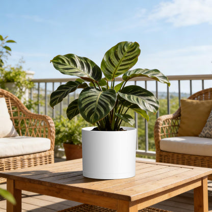KUGAZ Plant Pots, 10/9/8 Inch 3 Pack Cylindrical Flower Pots with Drainage Holes and Saucers, Plastic Planters for Outdoor Indoor Plants,White
