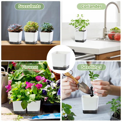 Oliz 3 inch Small Nursery Pots, Seedling Pots, 20 Pack Plastic Plant Pots for Indoor Outdoor Plants, Decorative White Succulent Flower Pots with Drainage Holes and Saucers