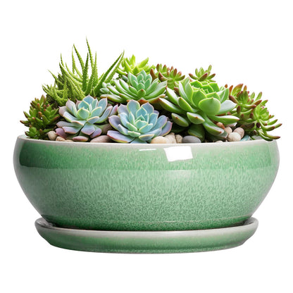 SQOWL Succulent Planter 12 Inch - Ceramic Bonsai Pots with Drainage Hole and Saucer, Large Shallow Planter, Bowl Round Planter for Indoor Outdoor Plants Flower, Room Decor, Birthday Gifts, Green