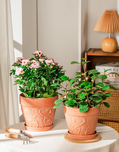 Melphoe Plant Pots Indoor with Drainage & Saucer, 2Pack 7/8 inch Flower Pots Outdoor Planters for Indoor Plants Garden Home Decor Cactus Succulent, Rigid Plastic (Imitation-Terracotta) Vine-Embossed
