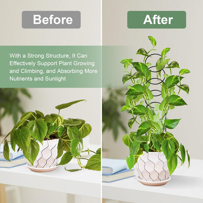17.5 Inch Plant Trellis Indoor for Climbing Plants,Metal Trellis,Small Garden Trellis for Potted Plants,Plant Stakes for Indoor Plants Accessories Hoya,Flower,Plant Support,Plant Gifts(Circular-Metal)