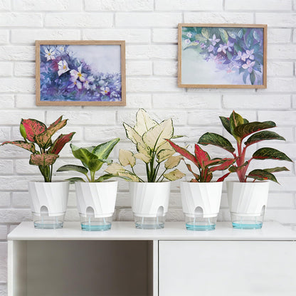 KIMCHOMERSE Self Watering Plant Pots, 6 Inch Plant Pots White, 3 Pack Flowers Pot Indoor Planter Pots with Tray for Spider Plant, Orchid, African Violet