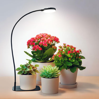 SGLEDs Desktop Plant Grow Light,12w Growing Lamps High Ppfd,Full Spectrum Desk Growth Light with Automatic Timer,4 Dimmable Levels（Black）