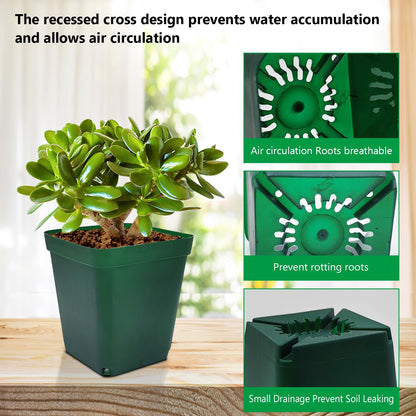 RooTrimmer Square Nursery Succulent Pots 4 Inches 60 Pcs Deep Flower Plant Nursery Seedling Grow Pots Plastic with Drainage (Green, 4Inches, 60Pcs)
