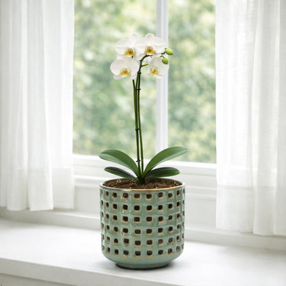 D'vine Dev 4.5 Inch Ceramic Orchid Planter with Lattice Cutout Design, Glazed Cachepot with Clear Nursery Pot & Detachable Saucer for Orchids and Indoor Plants, Olive, 28-A-Z-4