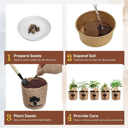 Christmas Gifts & Crafts for Adults - Bonsai Tree Starter Kit with 5 Unique Japanese Trees | Complete DIY Gardening Kit for Birthday | Gifts for Women, Men, Mom, Dad, Plant Lovers