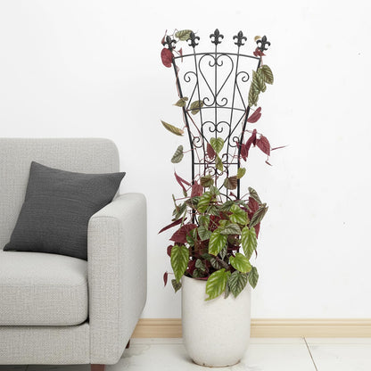 GOOOXIM Heavy Duty Indoor Trellis for Climbing Plants Set of 3 – 31x12 Inches Premium Iron Plant Support for Garden, Balcony, and Indoor Spaces – Perfect for Monstera and Other Houseplants