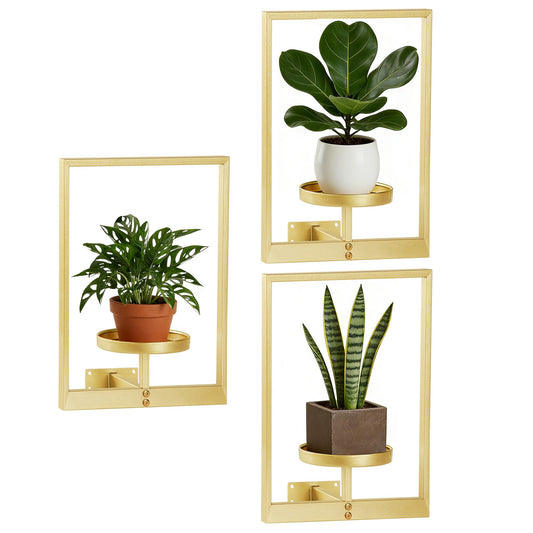 mekpiwu 3 Pack Picture Frame Wall Planters, Hanging Plant Shelves for Indoor Plants, Decorative Plant Stand & Hanger for Living Room, Window, Entryway & Outdoor Use, Gold
