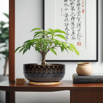 Fivepot Bonsai Planter - 8 Inch Ceramic Pots for Plants Indoor, Shallow Round Succulent Bowl with Drainage Hole and Tray for Cactus, Boho Room Garden House Decor, Birthday Gifts, Black
