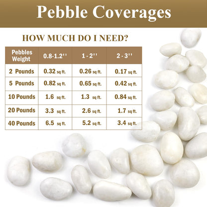 FANTIAN 5lbs White Pebbles for Indoor Plants, 0.8-1.2 Inch Smooth White River Rocks for Potted Plants, Decorative Polished Stones for Landscaping Vase Fish Tank and Outdoor Garden Pavers
