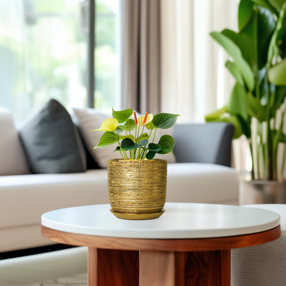 SUNPOTFOR Succulent Pot 5 Inch - Ceramic Plant Pot for Indoor Flowers, Decorative Round Indoor Planter with Drainage Hole and Saucer, Plant Lover Gifts, Patio Office Home Room Decor, Gold