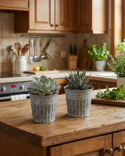 vensovo 4 Inch Galvanized Bucket Planter - 6 Pack Small Metal Flower Pots with Drainage Holes & Plugs, Rustic Silver Tin Pots for Indoor Herbs, Outdoor Succulents, Farmhouse Home Garden Decor