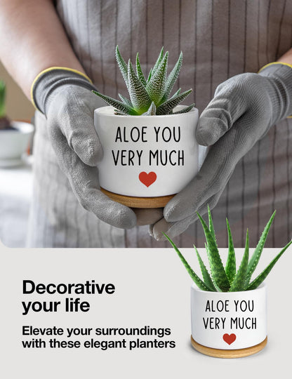 PWHINGN Thank You Very Much Engraved White Ceramic Succulent Planter Pot, Funny Indoor Plant Pot for Home Office Windowsill, Aloe Cactus Flower Pot 3.8 Inch, Plant Pot Gift (Plant Not Included)