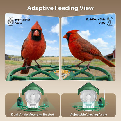 Liscuty Smart Bird Feeder with Camera - 2K HD Smart Bird Feeder, Solar Powered Outdoor Birdhouse with AI Bird Identification for Backyard Birding & Wildlife Bird Watching, Gift for BirdLover (Green)