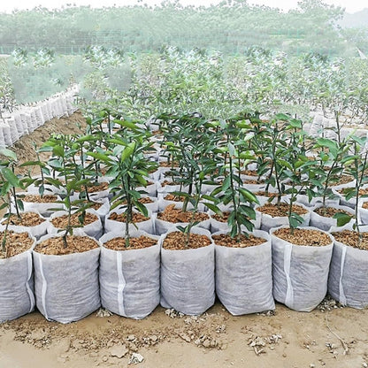 EVANEM 100Pcs Biodegradable Non-Woven Seedling Pots Eco-Friendly Planting Bags Nursery Bag, Plant Grow Bags Garden Accessories(12x13cm(Diameter7High9.5))