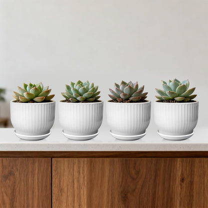 YUFDA 5.5 Inch Plant Pot, Ceramic Planter with Drainage and Saucer，Ceramic Pots for Plants, Indoor Plant pots，Succulent Orchid Flower Pot(Pure White,4 Pack)