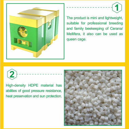 Queen Nuc Box Bee Mating Nuc Hive Bee House Mini Bee Hives Box Queen Rearing Box for Beekeeping (Green)
