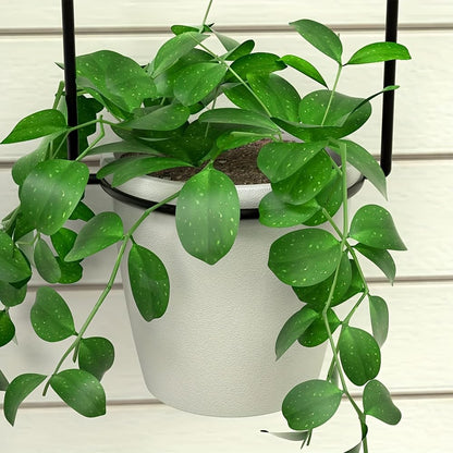 Metal Adjustable Hanging Flower Pots Set with 4 Plastic Pots, Indoor and Outdoor Wall Plant Hanger with Nylon Rope for Windows and Ceiling Herb Garden, 41.4-48 Inches, White and Black