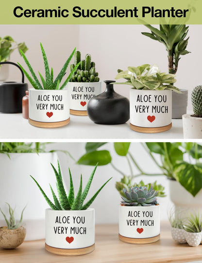 PWHINGN Thank You Very Much Engraved White Ceramic Succulent Planter Pot, Funny Indoor Plant Pot for Home Office Windowsill, Aloe Cactus Flower Pot 3.8 Inch, Plant Pot Gift (Plant Not Included)
