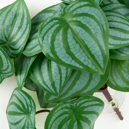 WOLEDOE Reptile Plants for Terrarium, Amphibian Habitat Decor Artificial Hanging Plants with Suction Cup - Fake Calathea Orbifolia