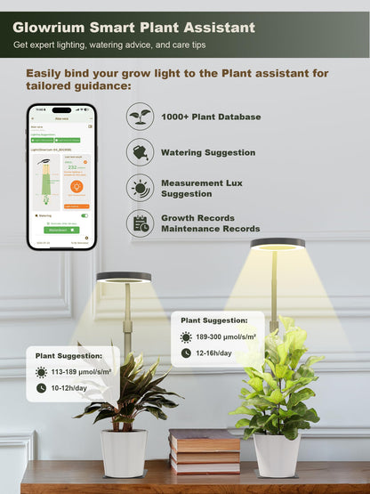 GLOWRIUM Smart LED Grow Lights for Indoor Plants G4, 12W Full Spectrum 3500K with Grow lamp, Bluetooth App Control, 10-Level Dimming, Gooseneck, Height Adjustable 16"-23", Auto Timer, (Black 12W)