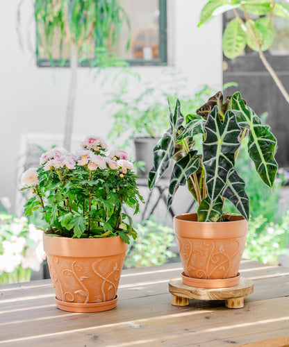 Melphoe Plant Pots Indoor with Drainage & Saucer, 2Pack 7/8 inch Flower Pots Outdoor Planters for Indoor Plants Garden Home Decor Cactus Succulent, Rigid Plastic (Imitation-Terracotta) Vine-Embossed