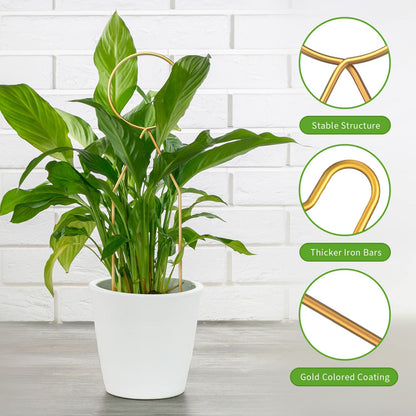 4 Pcs Small Metal Trellis for Potted Plants,Gold Trellis for Climbing Plants Indoor,Small Trellis for Potted Plants Support Stake House Plant Trellis for Garden Potted Plant,Hoya,Pothos,Flower