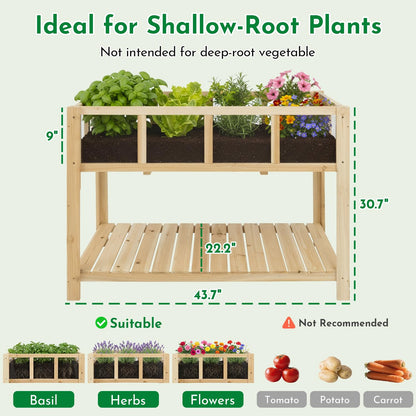 ketive Raised Garden Bed with Transparent Acrylic Panels, Elevated Wooden Raised Garden Bed Planter, Fir Wood Outdoor Planter Box for Herbs, Flowers & Patio Balcony Gardening (Natural)