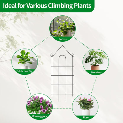 DOLEMODUO 32" Plant Trellis, 6 Pack Metal Garden Trellis for Potted Plants Indoor/Outdoor, Rust-Proof Sturdy Steel Trellis for Climbing Plants, Monstera, Tomatoes, Cucumbers