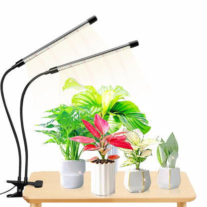 EWITTTI Plant Lights for Indoor Growing,84leds Clip Grow Light, 6500k Grow Lights for Indoor Plants Full Spectrum with Cold Warm Red LEDs,10 Dimmable Levels,Auto On Off Timing 3/9/12h Hrs(2pcs)