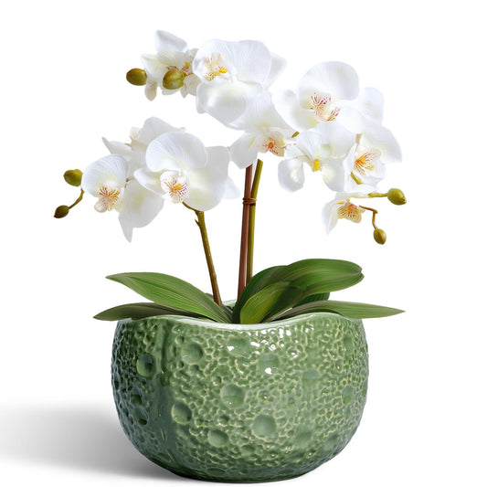 Thirtypot 6 Inch Plant Pot - Orchid Pot with Drainage Hole, Ceramic Planter for Indoor Outdoor, Decorative Plant Pots, Modern Round Unique Flower Pots, Living Room Decor, Gifts for Women Men, Green