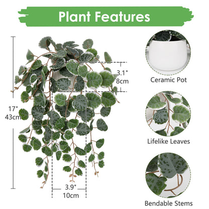 Briful Fake Plants Indoor 16'' Artificial String of Hearts Plants with Ceramic Pot Faux Draping Vine Plants for Home Bathroom Table Shelf Office Hotel Decor