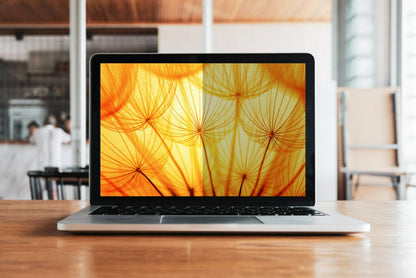 3M Bright Screen Privacy Filter for 14in Full Screen Laptop, 16:10, BP140W1E