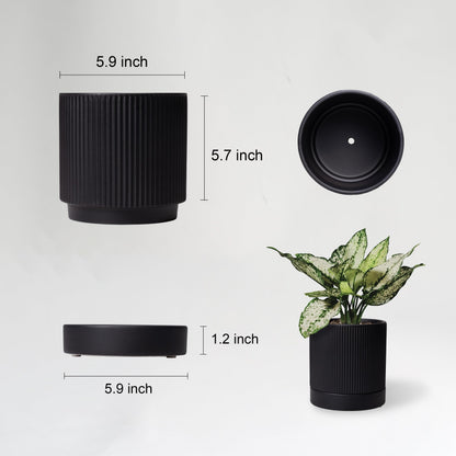 HERDUK 6 Inch Ceramic Plant Pot with Drainage & Saucer - Indoor Planter for Succulents, Cacti & Aloe Vera - Striped Design, High-Temp Fired Clay, Lightweight Modern Decor