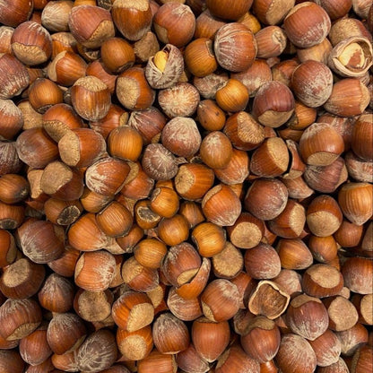 American Hazelnut Tree Live Plant, 2-3 Feet Tall, Edible Hazelnut Tree Plant in 3 Gallon Pot, No Shipping CA