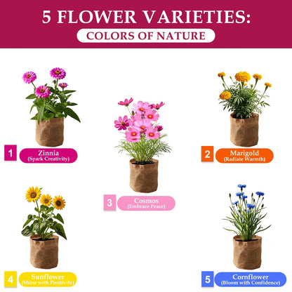 5 Indoor Flowers Growing Kit for Beginners, Complete Planting Starter Set with Zinnia, Cosmos, Sunflower, Marigold, Cornflower Seeds, Unique Gardening Gifts for Women & Men