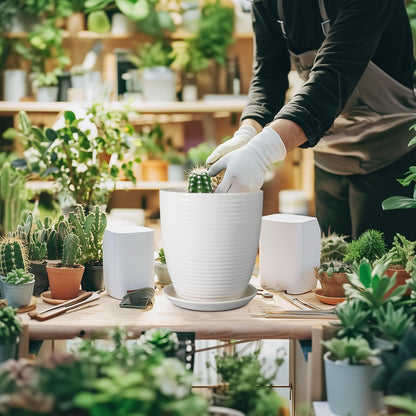 EPFamily 8 Inch Ceramic Planter Pot Round Plant Pot with Drainage Hole and Saucer Modern Flower Pot for Indoor Outdoor Plants White