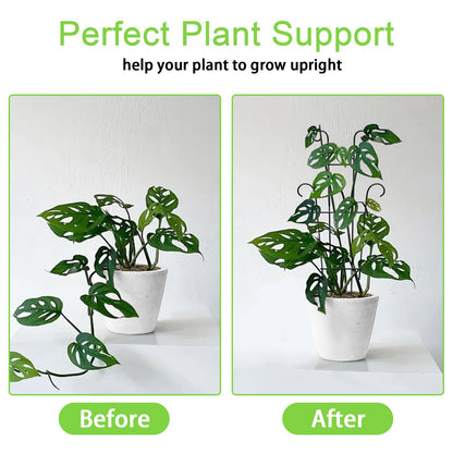 Xeeol Plant Trellis for Potted Plants 2p, Larger 23in Garden Trellis for Climbing Plants Indoor Outdoor, Rustproof House Plant Support Stakes for Pothos Hoya Ivy Flower