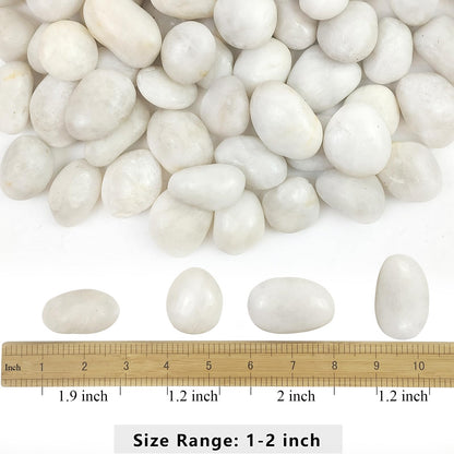 YISZM 5lbs White River Rocks, 1-2 Inch Natural Pebbles for Indoor Plants, High Polished Decorative Stones Vase Filler Fish Tank Aquariums Landscaping Garden Outdoor and Indoor DIY