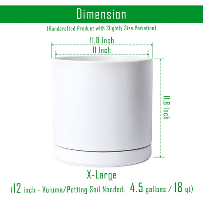 D'vine Dev 12 Inch Ceramic Planter Pot with Drainage Hole and Saucer, Indoor Cylinder Round Planter Pot, White, 94-O-F-1
