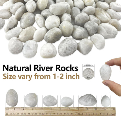 Garrdeen 5LB White River Rocks, High Polished 1–2 inch Decorative Pebbles for Indoor Plants, Aquarium & Fish Tank Rocks, Garden Landscaping Stones, Vase Fillers, Lava Rocks for Plants & Pathway Decor