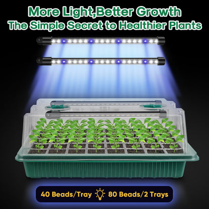 BlumWay Seed Starter Tray with Grow Light,2 Pack 80 Cells Seedling Tray Kit with Humidity Dome/Indoor Plant Starter Kit, Adjustable Brightness Plant Germination Trays-Green