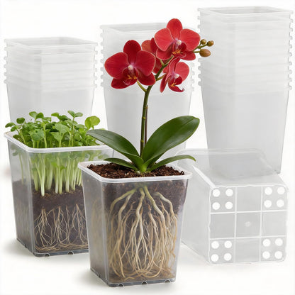 Nursery Pots 6 Inch 40 Pcs, Plastic Seed Starting Pot with Drainage Holes, Sturdy Seedling pots for Planting, Cuttings, Clear