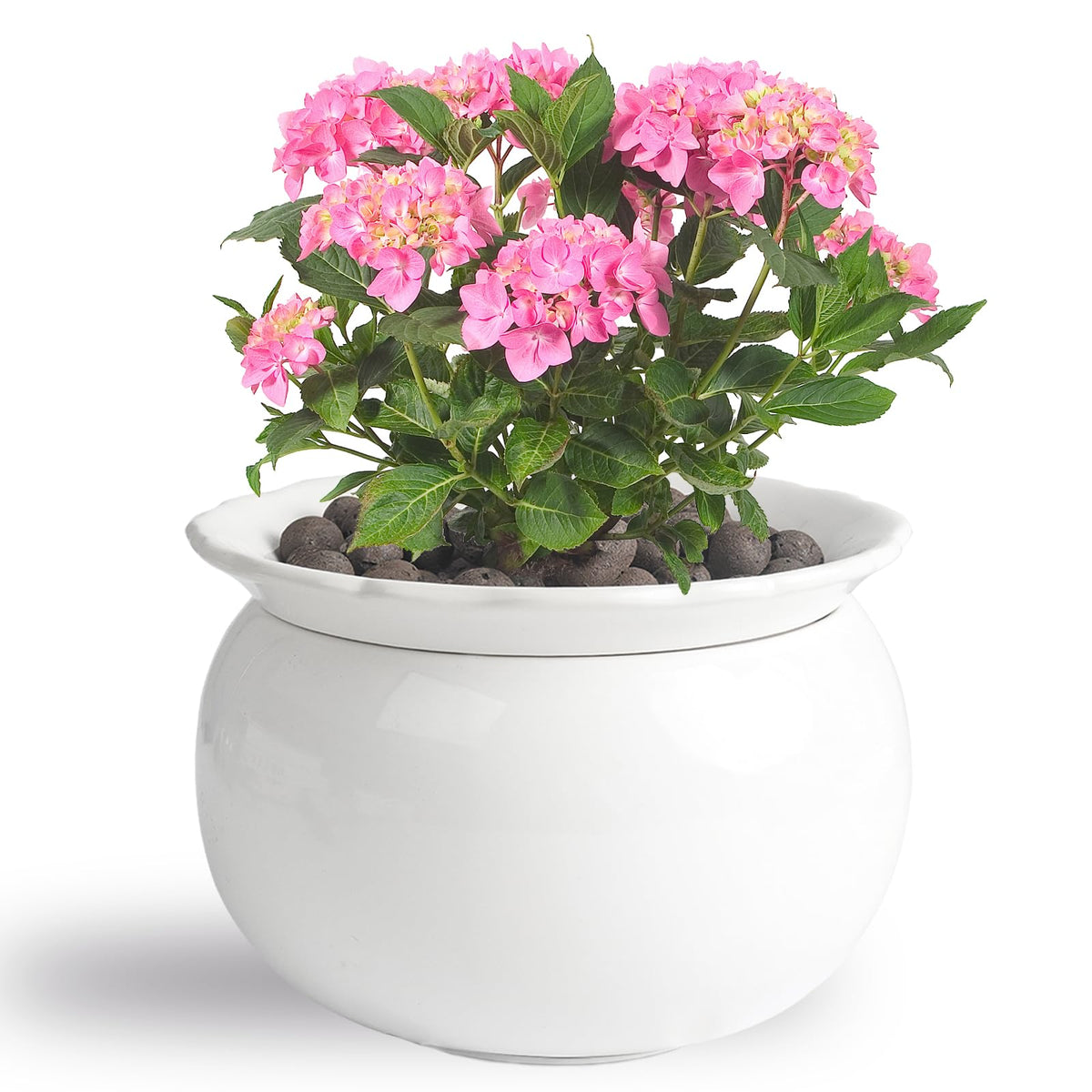 BUYMAX African Violet Pots, 6 inch Ceramic Easy Self Watering Plant Pot for Busy Plant Lovers, Automatically Absorb Appropriate Amount of Water, Flower Pot Indoor-Plants Not Included