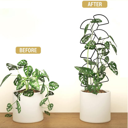 IA Garden Indoor Plant Trellis for Climbing Plants, 3 Pack Stackable Garden Trellis for Potted Plants, Small House Plant Trellis for Vine Ivy Flower Plant Support Outdoor DIY Metal Trellis, Black
