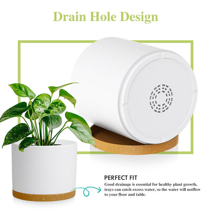 DGJDLWHX Large Plant Pots Set of 3 – 8", 9", 10" Indoor Flower Pots with Drainage Holes and Saucers, Big Planters for Monstera, Fiddle Leaf Fig, Snake Plant – 5 Colors