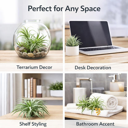 2 Pack Artificial Air Plants, Realistic Looking Faux Tillandsia Succulents Plants for Home Decor, Indoor Outdoor Garden, Terrarium, Office Desk, Wedding Displays (Green)