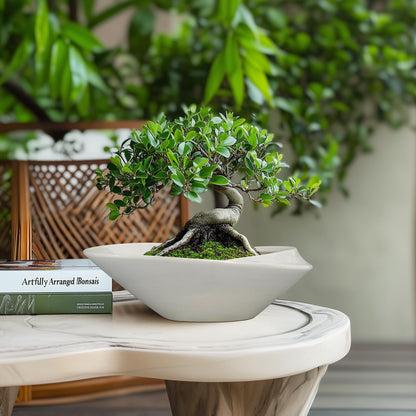 EPFamily Bonsai Planter Pot - 12 Inch Ceramic Plant Pot for Indoor Plants Outdoor Decorative Flower Pot Succulent Planter with Drainage Hole Gray