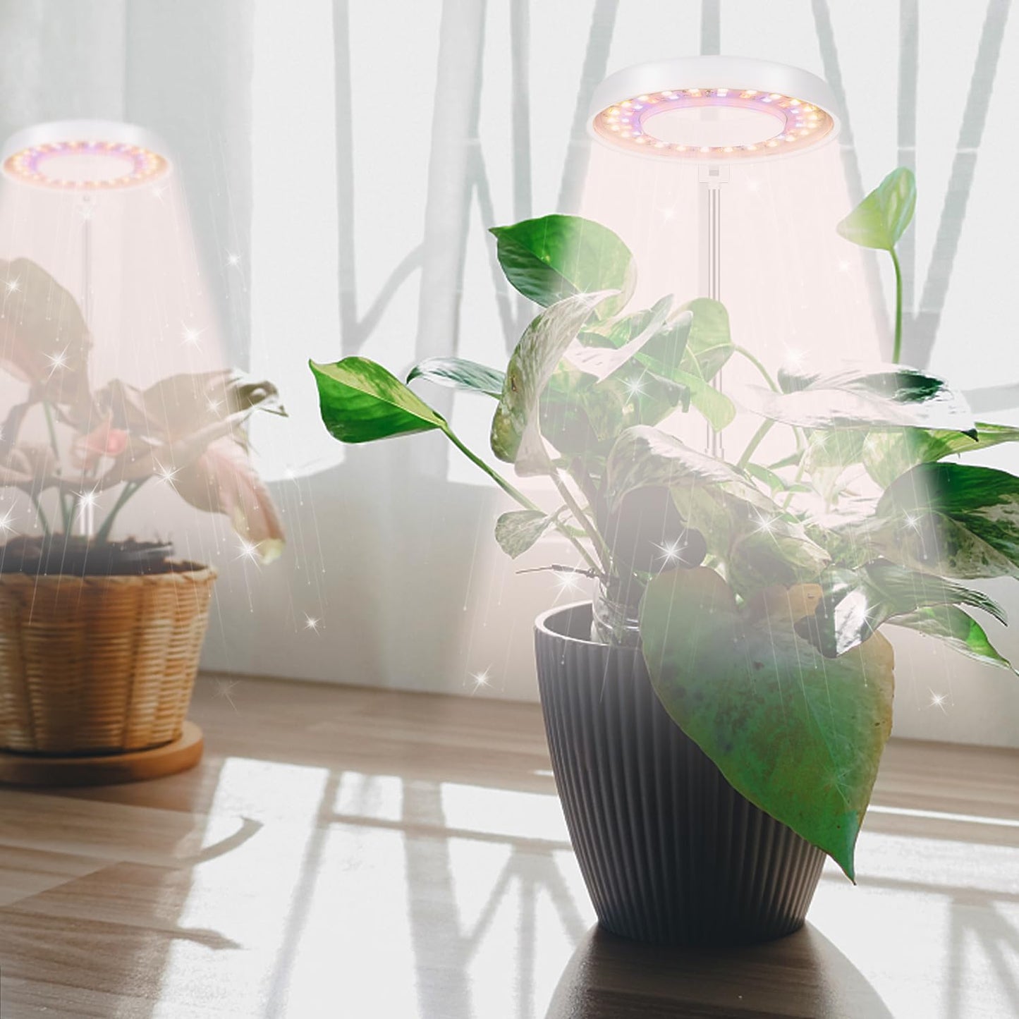 GooingTop LED Grow Light, Halo Plant Growing Lamp for Indoor Plants Growth, White Full Spectrum Low Light for Small Plants,Upgrade Timer 4/8/12/18 Hrs & Variable Spectrum,2 Pack